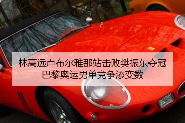 林高远卢布尔雅那站击败樊振东夺冠 巴黎奥运男单竞争添变数