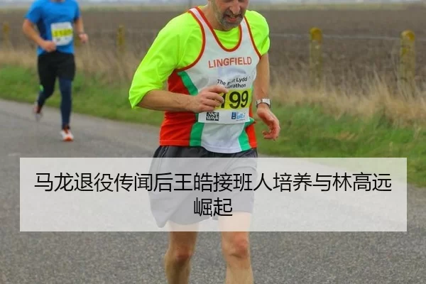 马龙退役传闻后王皓接班人培养与林高远崛起